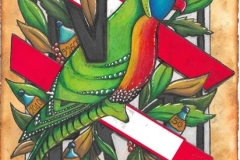 Plate 2.0 Trichoglossus Haematodus (Rainbow Lorikeet)