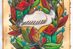 Plate 5.0 Threskiornis Molucca (Australian White Ibis (Sacred Ibis))