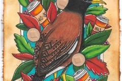 Plate 4.0 Acridotheres tristis (Common Mynah) *introduced