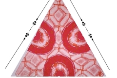 Magnified Fragment C16 by Itxaso Ruiz Gutierrez