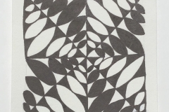 Magnified Fragment E3 by Anita Atkins