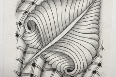 Magnified Fragment E5 by Anita Atkins